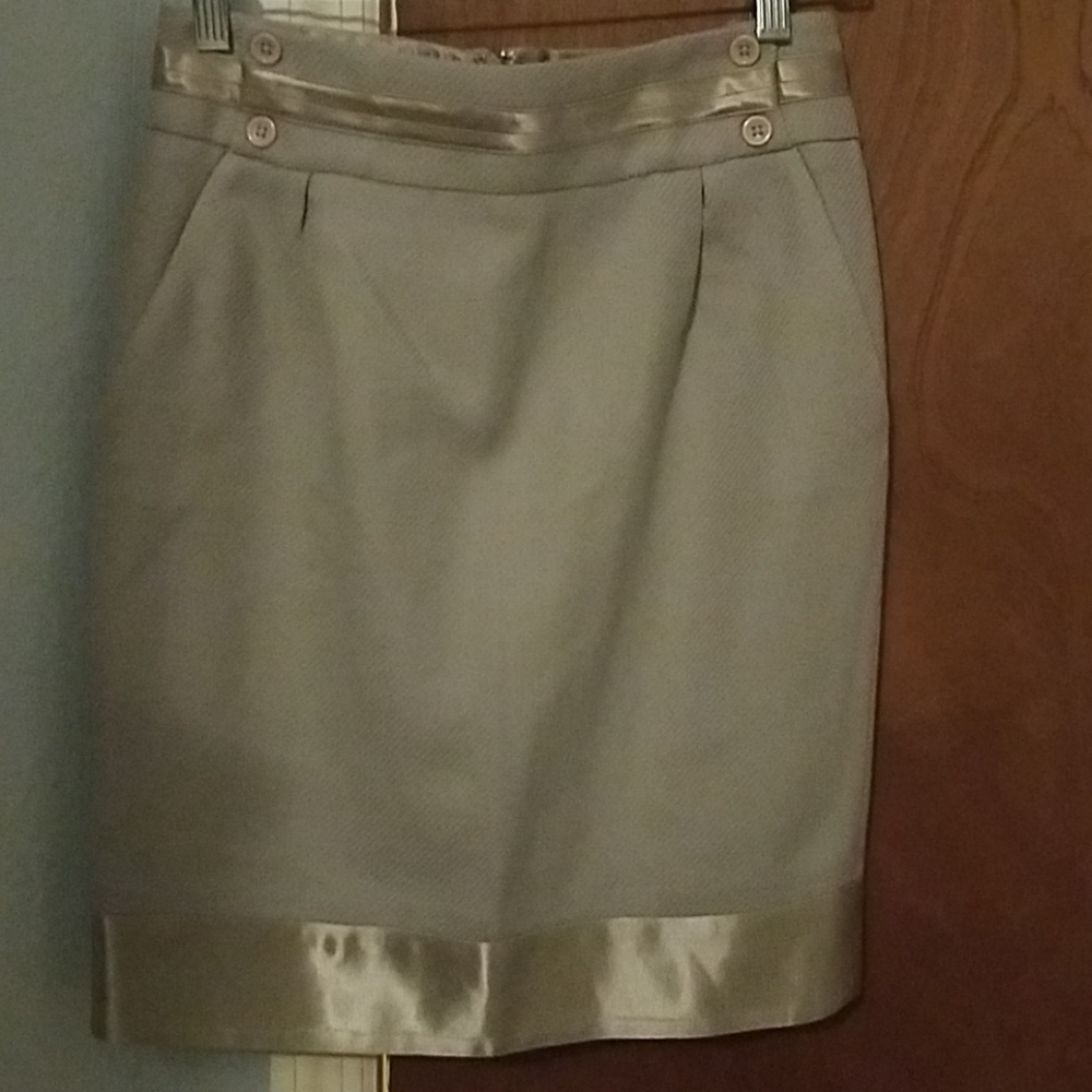 Body by Victoria Dress skirt